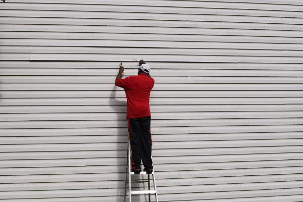 Affordable Siding Repair and Maintenance Services in Verdi, NV